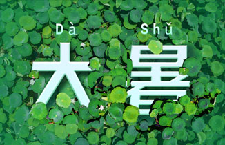 今日大暑 | 夏季最后一個節氣